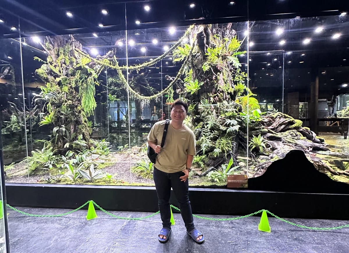 Arrow in the Dunia Anura paludarium hall