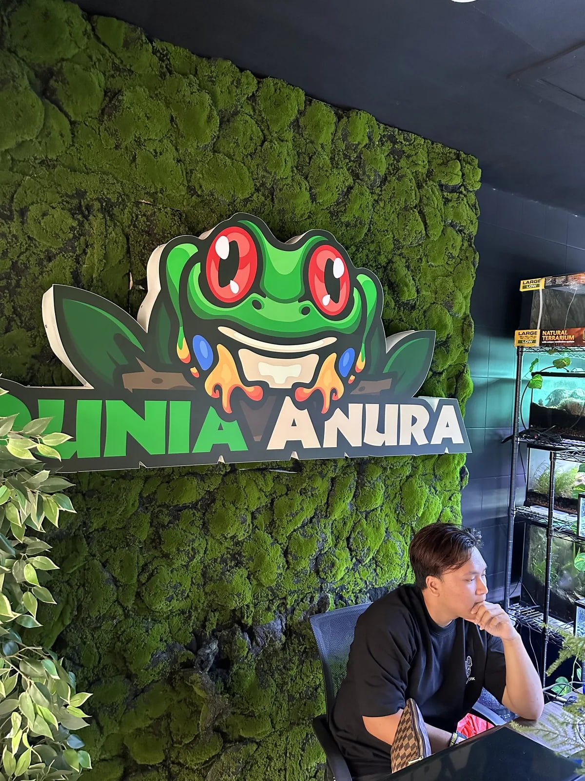 Arrow beside the Dunia Anura moss-wall logo