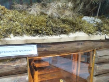 «Год Защитника Отечества. Воспитание Патриотизма. Любовь к Родине.»