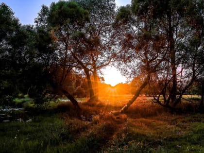 В Брянской области прогнозируют аномально холодную ночь