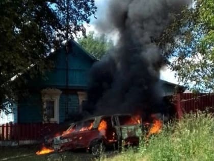 Появились фото из горящего после атаки Украины брянского села Сушаны