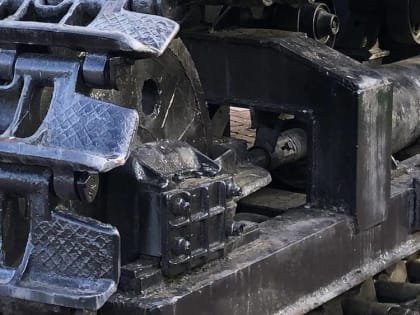 Уничтожение в Брянске 20 тонн яблок из Польши пояснили специалисты