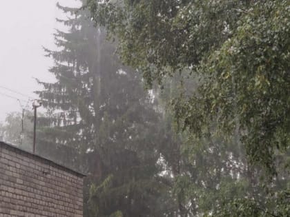 Брянцев предупредили о возможных грозах 7 мая