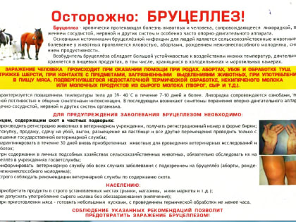 Новые подходы к образованию в современных школах