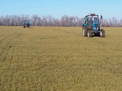 С заботой о будущем урожае