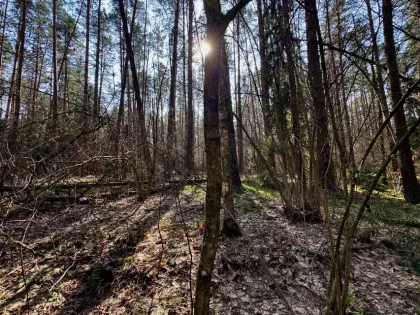 Погода подготовила сюрпризы для жителей Брянской области