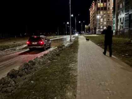 Январь напоследок принесет аномальное тепло в Брянскую область