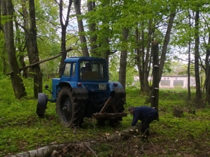 Всероссийский субботник