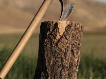 Брянский эксперт Сергей Горелов рассказал о новых способах борьбы со златкой