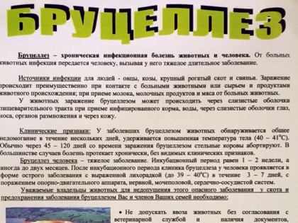 ВНИМАНИЕ! БРУЦЕЛЛЕЗ КРУПНОГО РОГАТОГО СКОТА!