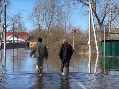 Уже 11 домовладений затоплено в Брянской области