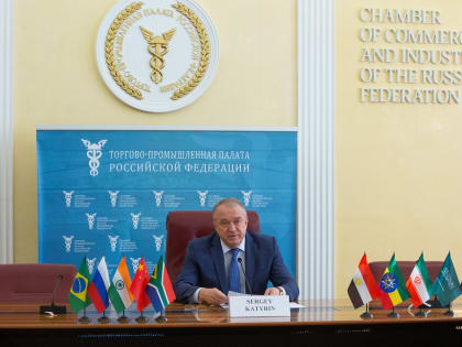 Сергей Катырин: создание единой цифровой инфраструктуры будет одним из приоритетов работы ДС БРИКС