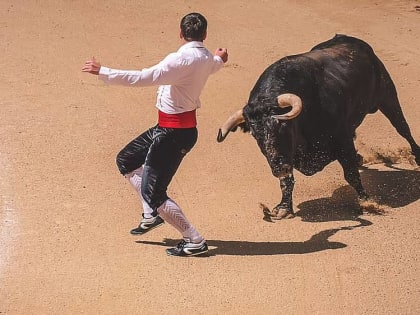 Собственник оказавшегося на грани банкротства брянского предприятия перебрался в Испанию
