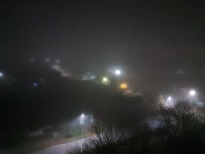 Непогода в Брянске: дождь и туман ожидаются в воскресенье