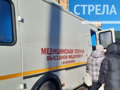 В Брянске прошел День здоровья