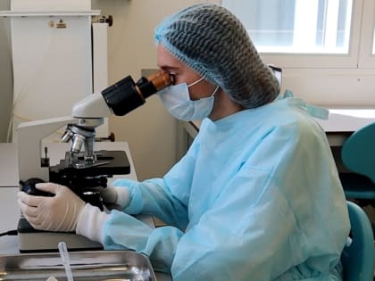 Токсокароз животных и человека