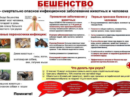 Роспотребнадзор информирует!