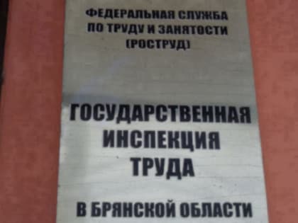 Сотрудники инспекции труда посетили компанию по производству лекарственных  препаратов