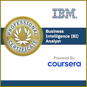 IBM Business Intelligence (BI)