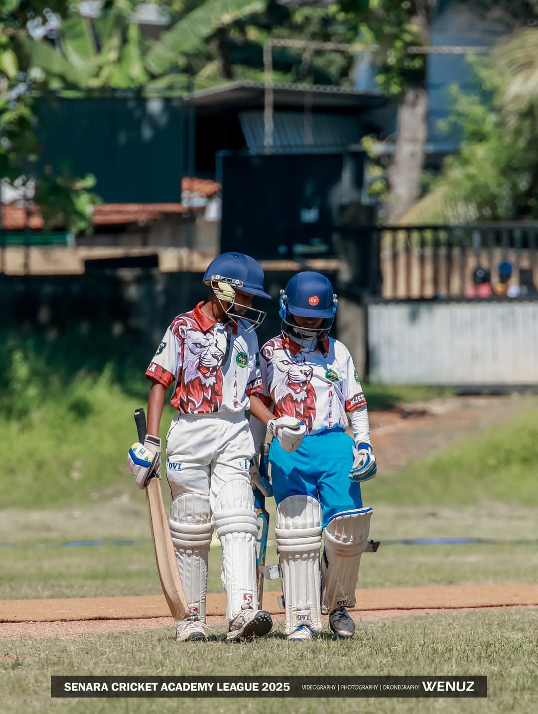 Cricket