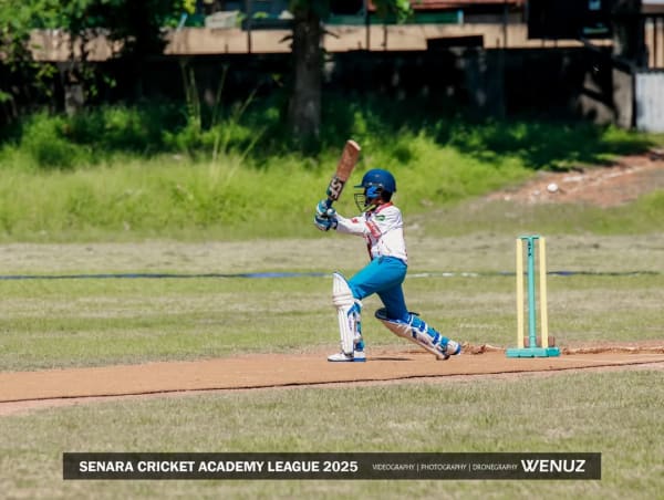 Cricket - photo 2