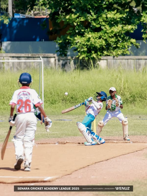 Cricket - photo 3