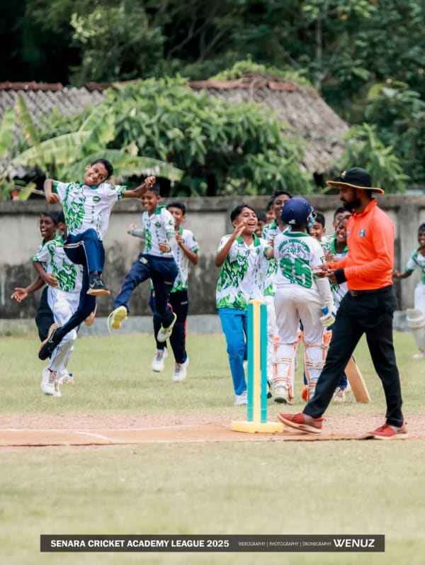 Cricket - photo 4