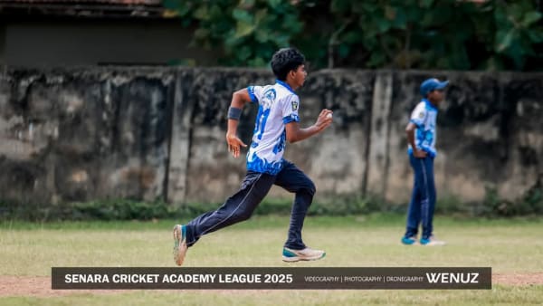 Cricket - photo 5