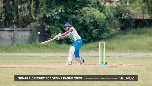 Cricket - photo 6