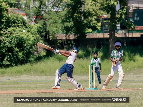 Cricket - photo 7
