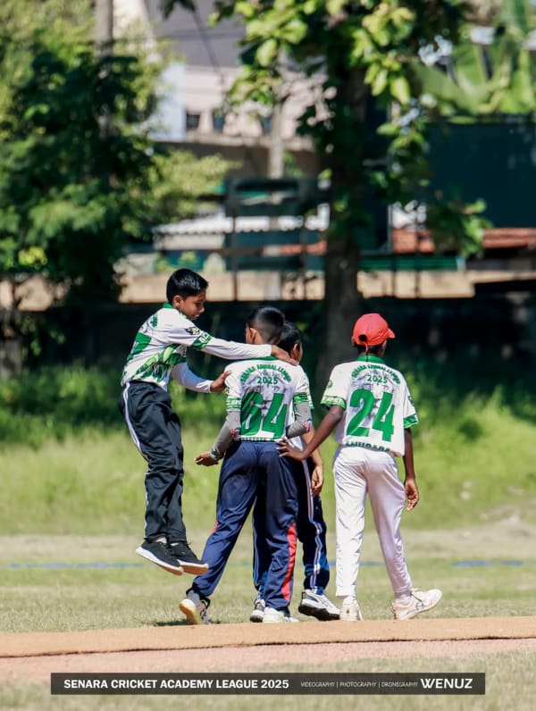 Cricket - photo 9