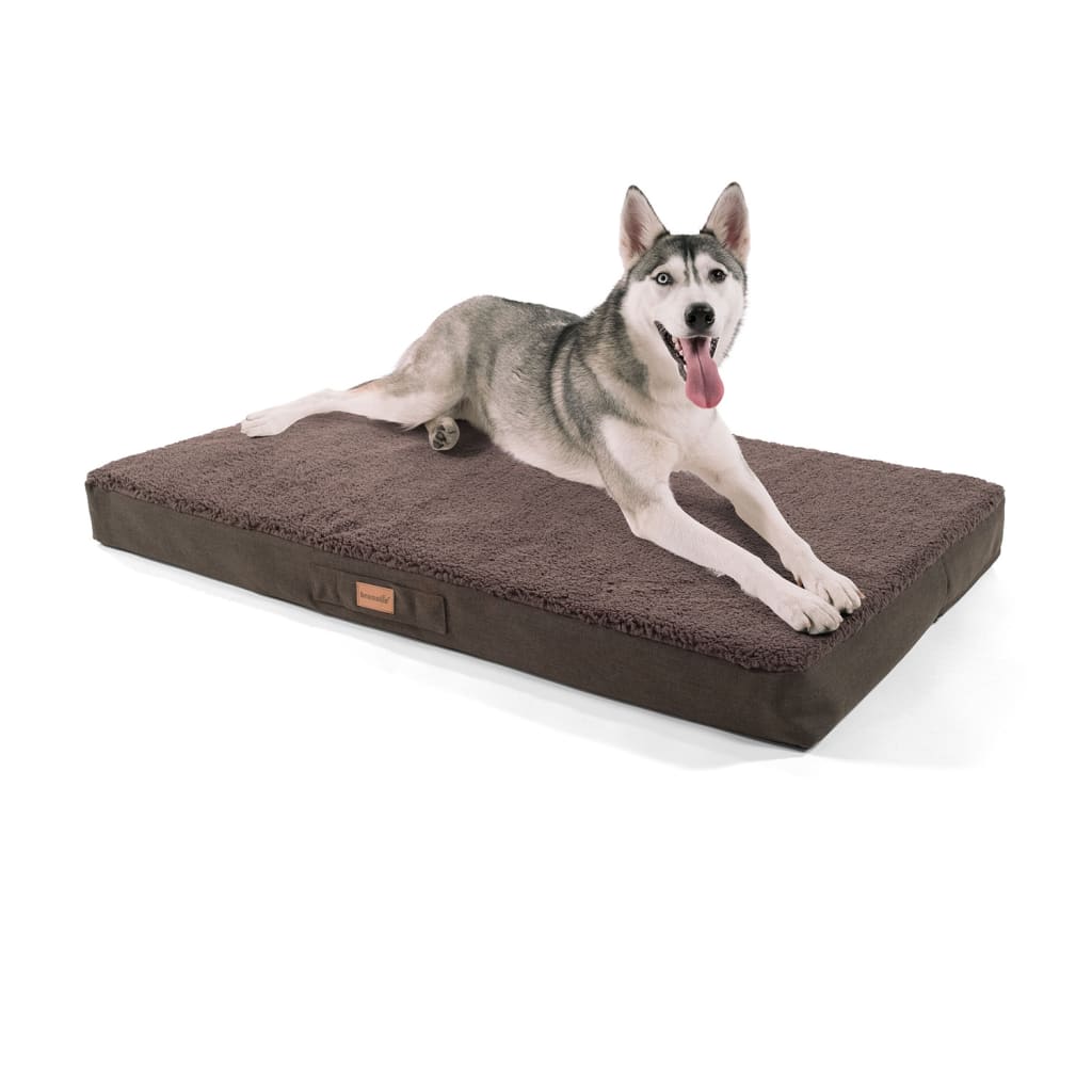 Balu Hundebett Hundekissen, Dunkelbraun, Größe: XL