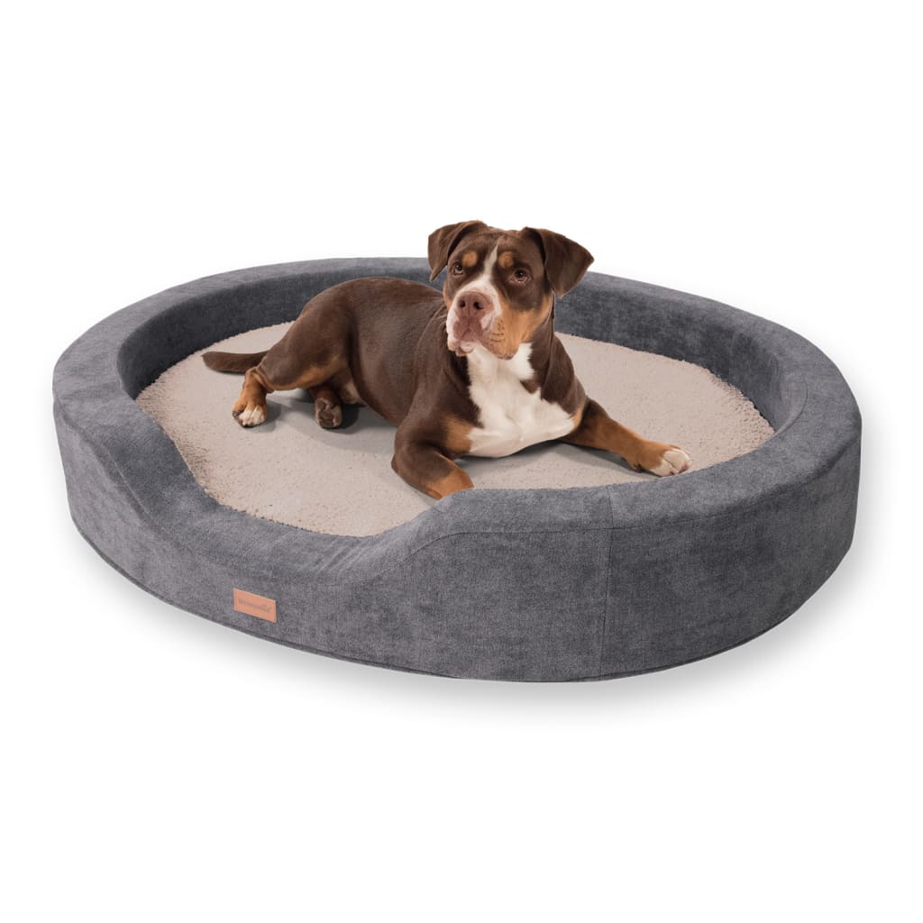 Lotte Hundekörbchen Hundekissen, Beige, Größe: XL