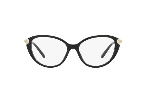 Brille Michael Kors SAVOIE 0MK4098BU