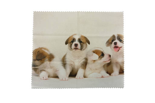 Apollo Mikrofasertuch Hunde Cloth Dogs