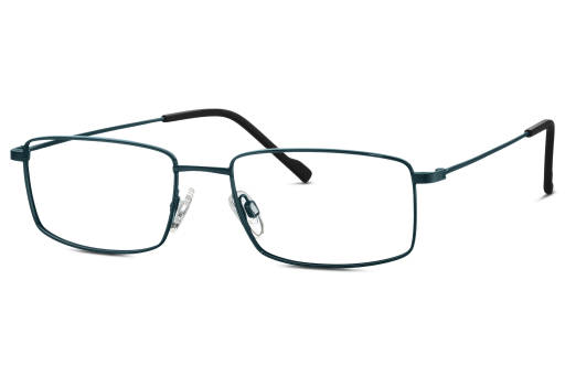 Brille TITANFLEX 820922 70