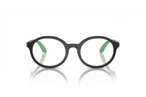 Brille Emporio Armani 0EK3005 5001