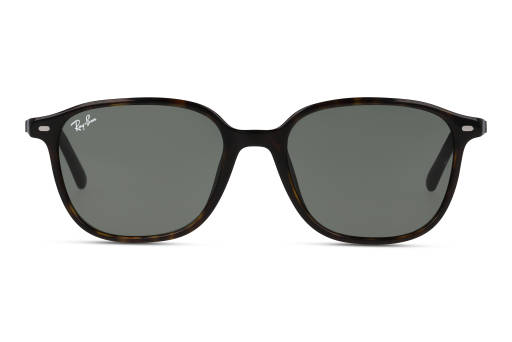 SoBri Ray-Ban LEONARD 0RB2193 902/31