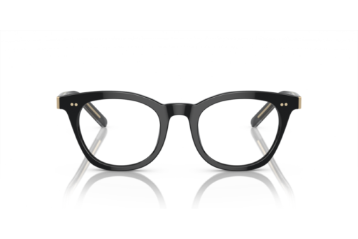 Brille Giorgio Armani 0AR7251 5875