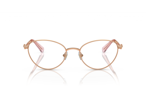 Brille Swarovski 0SK1002 4014