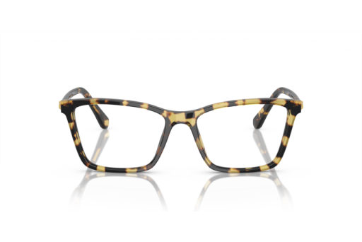 Brille Swarovski 0SK2015 1009