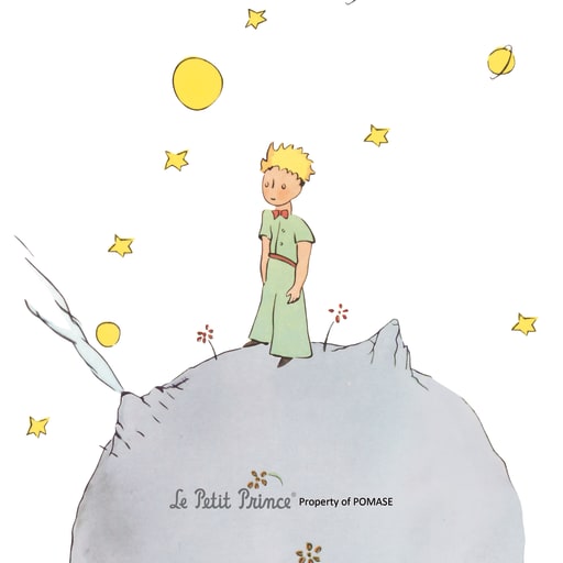 Motifs du Petit Prince