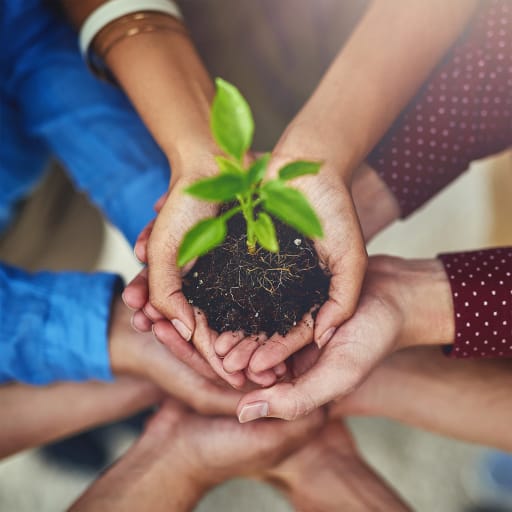 2 Nachhaltigkeit 3 Image Slider Vertikal Desktop