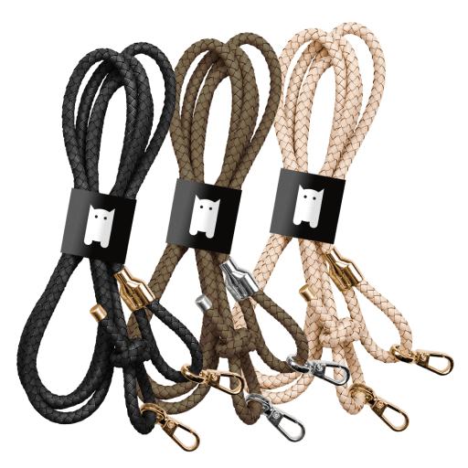 Bild 1 Einstiegsbild CC