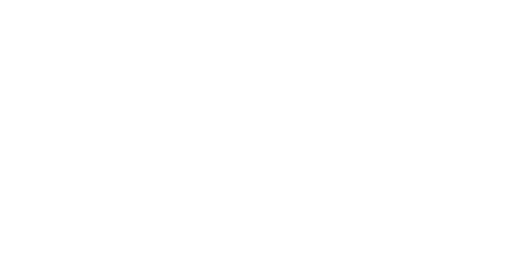 Logo Zinia Kauf auf Rechnung Santander weiss