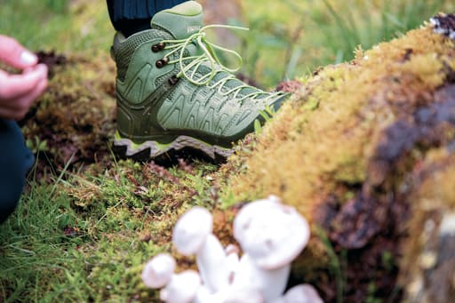 HW25 OUT MO Pilzwandern 3828 RZ