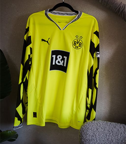 Fs25-teamsport-bvb-350-400