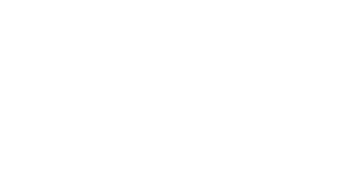 Logo Zinia Kauf auf Rechnung Santander weiss
