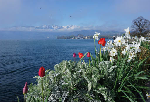 Berge-seen-trail-960x650