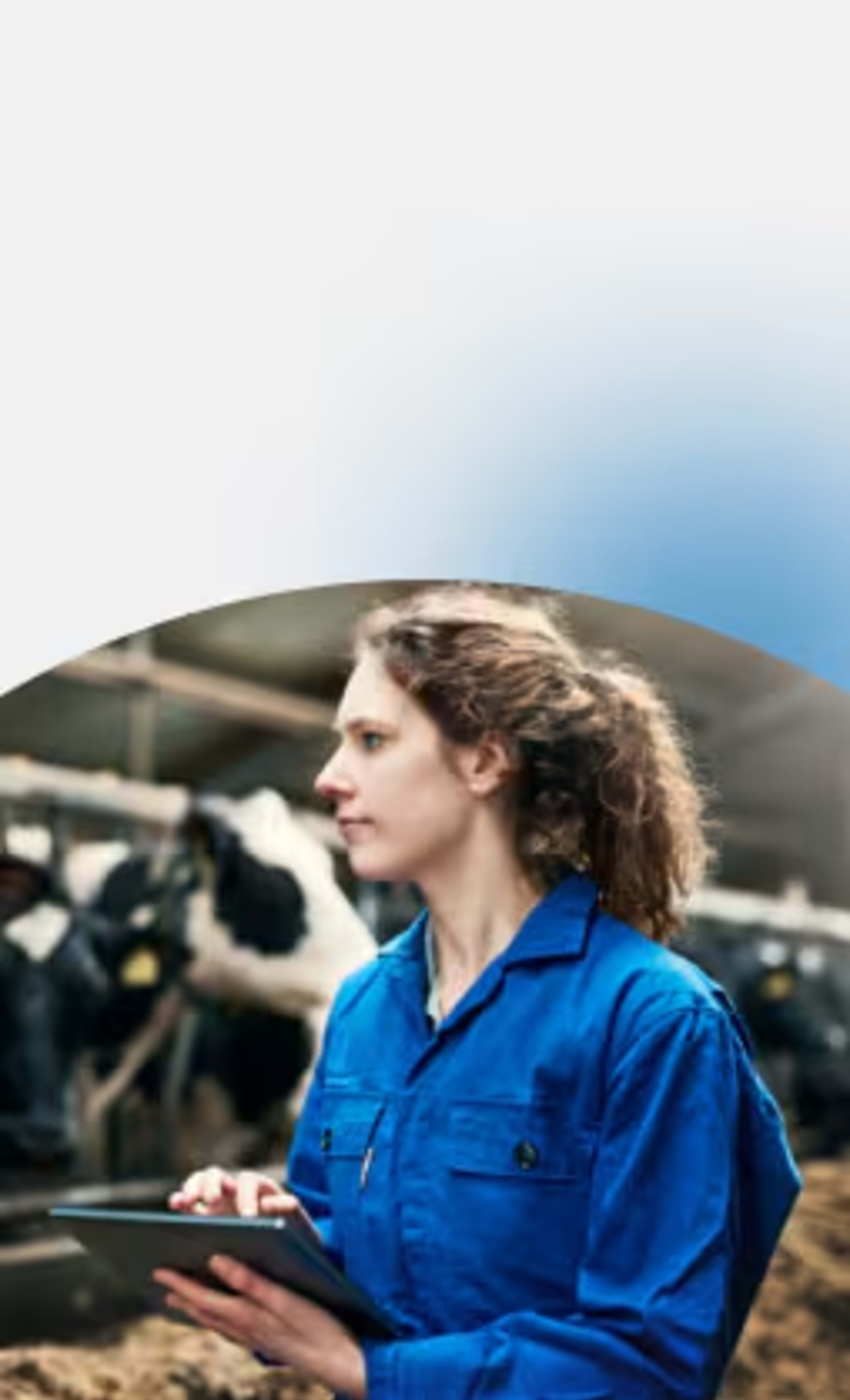 Dairy Farmers of America